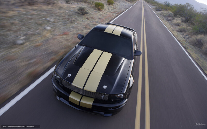 black mustang on desert road