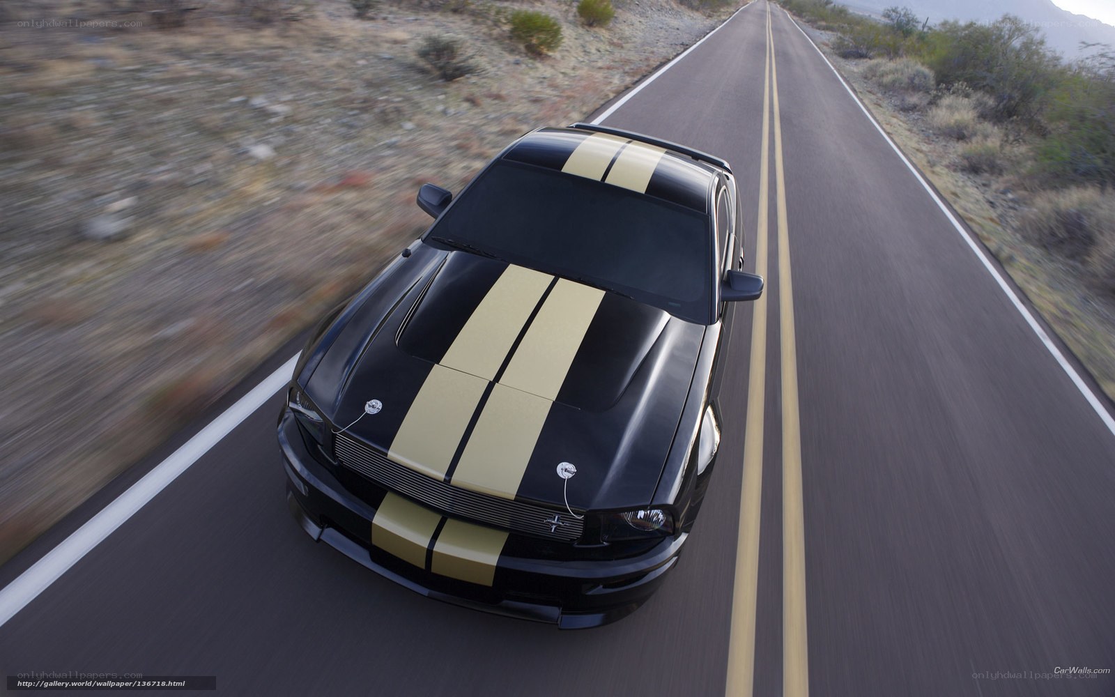 black mustang on desert road