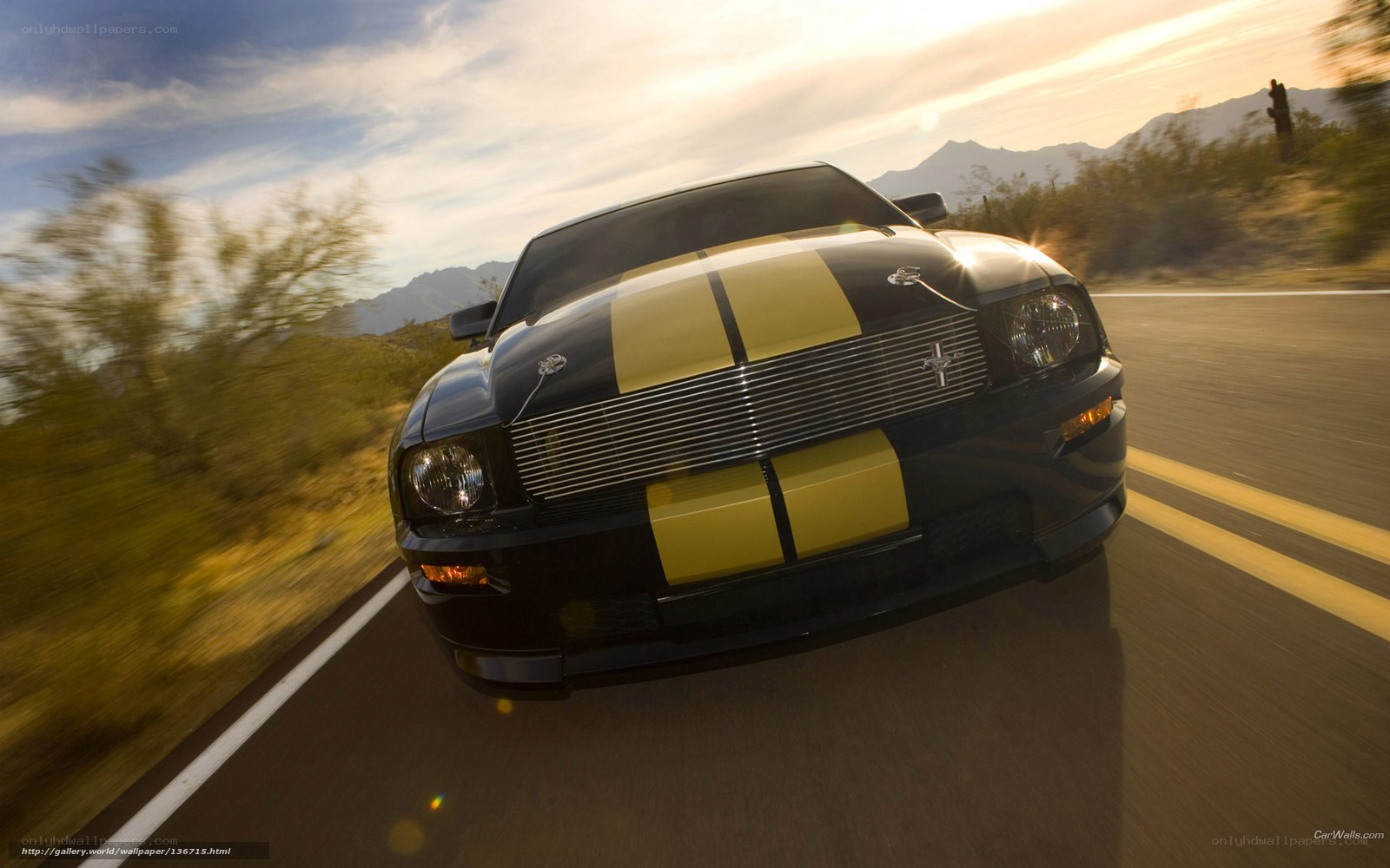 black mustang on desert road