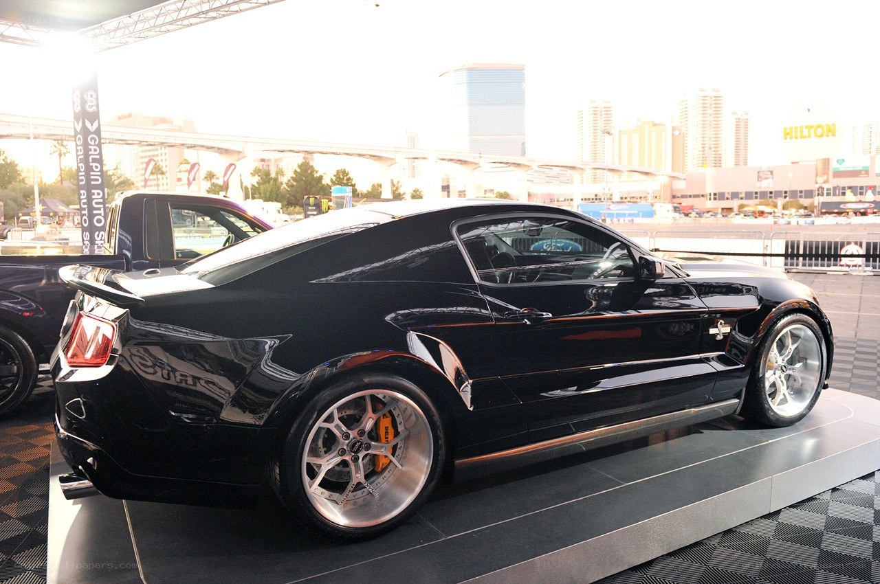 black mustang on display