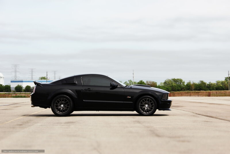 black mustang on pavement