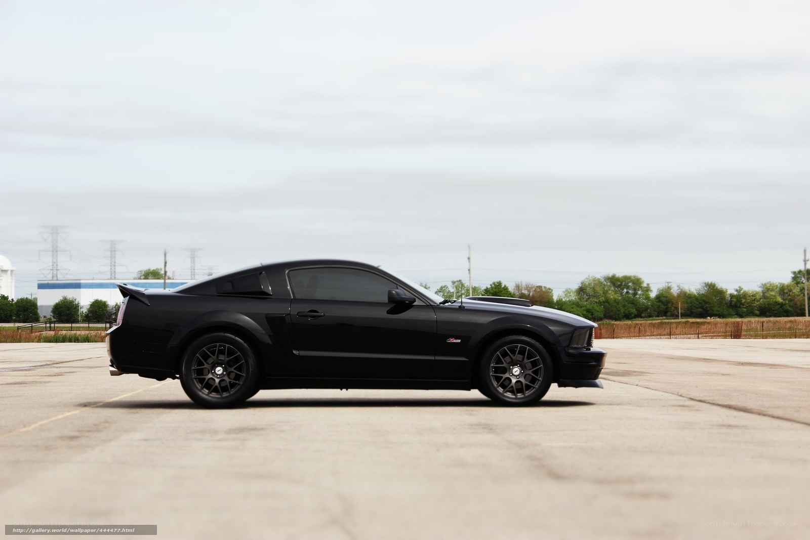 black mustang on pavement