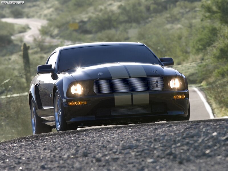 Black Mustang on Road — Dynamic