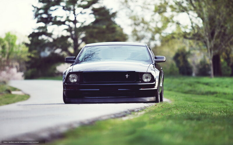 Black Mustang on Road — Green