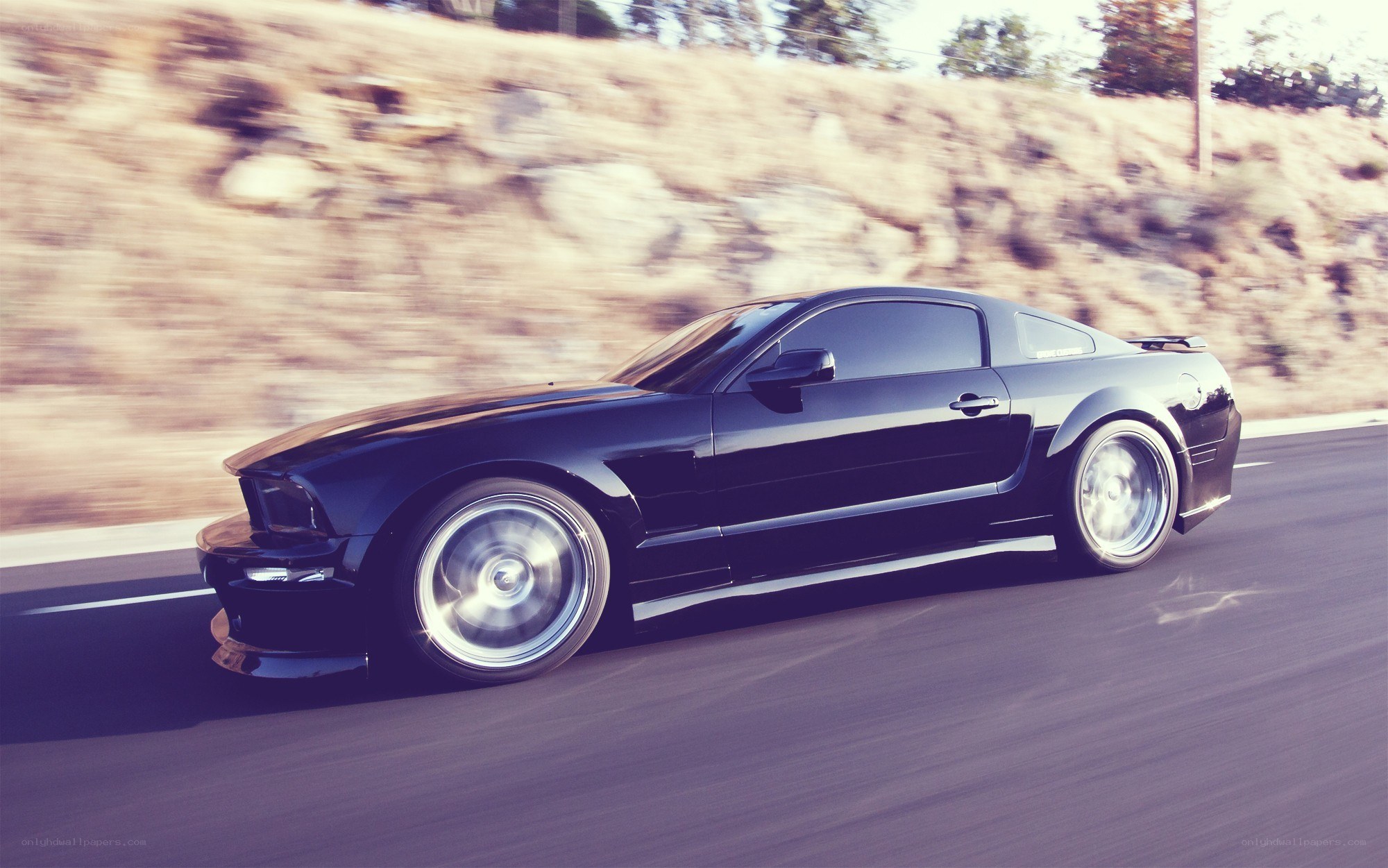 black mustang on road
