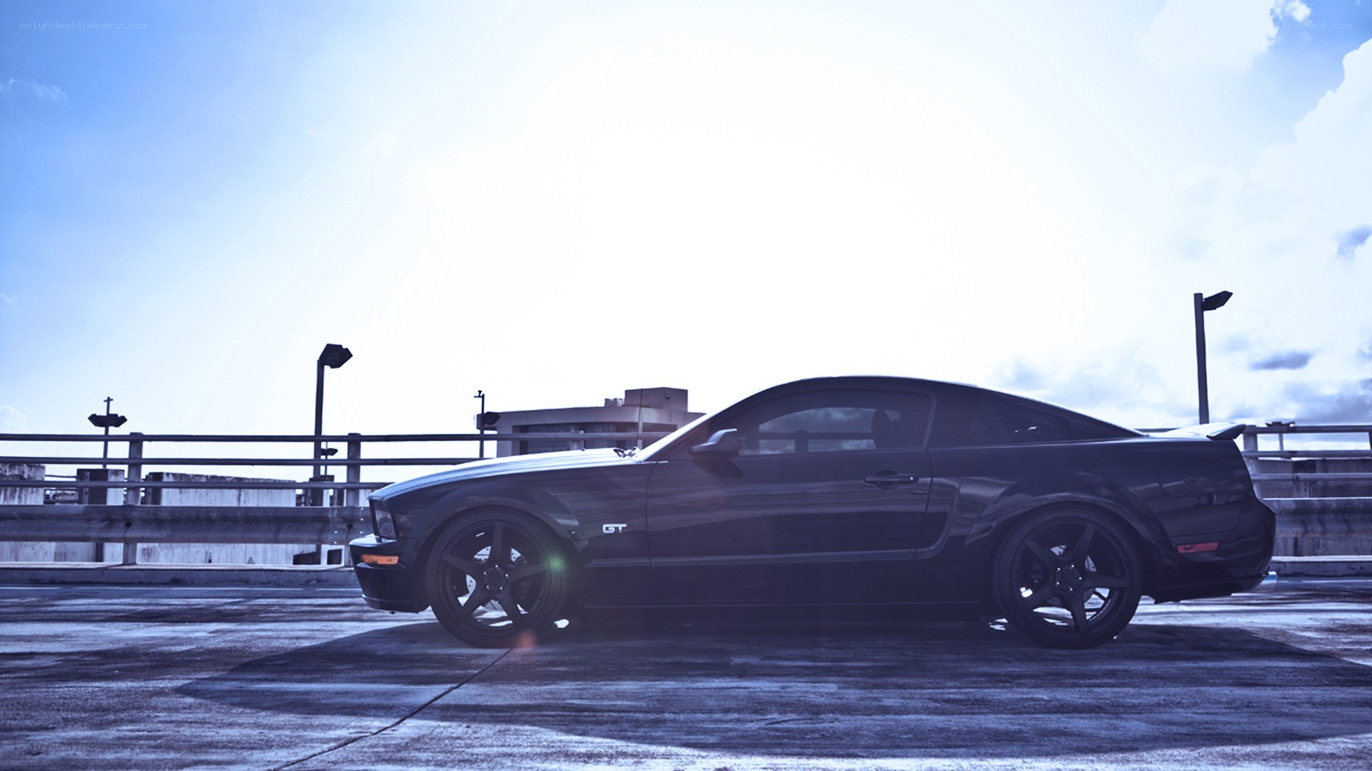 black mustang on rooftop