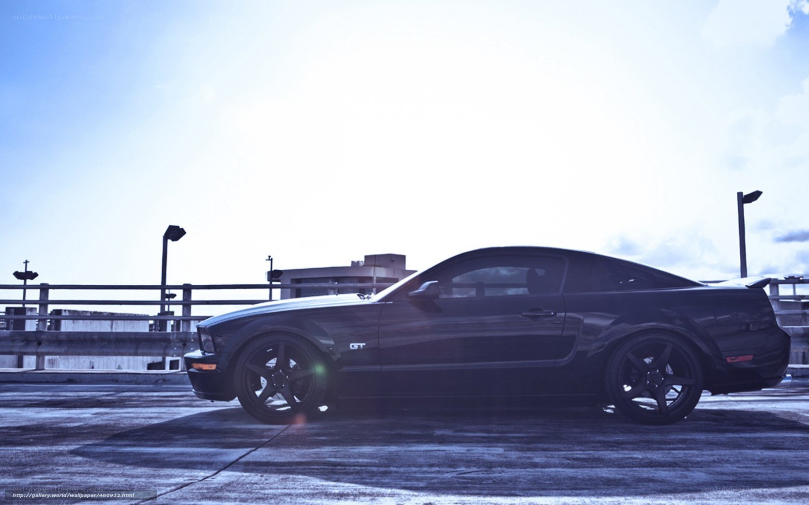 black mustang on rooftop