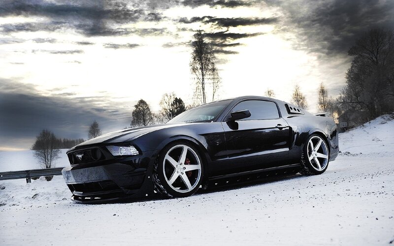 Black Mustang on Snow — Dramatic