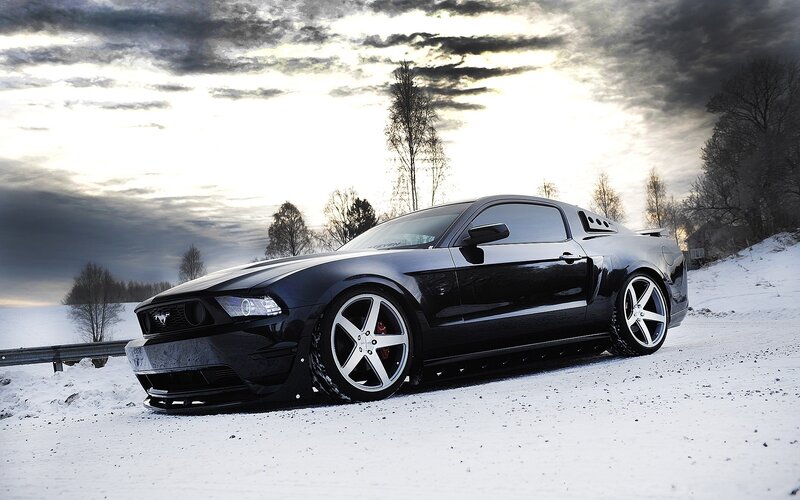 Black Mustang on Snow — Dramatic, Winter, Photograph, Trees, Sky