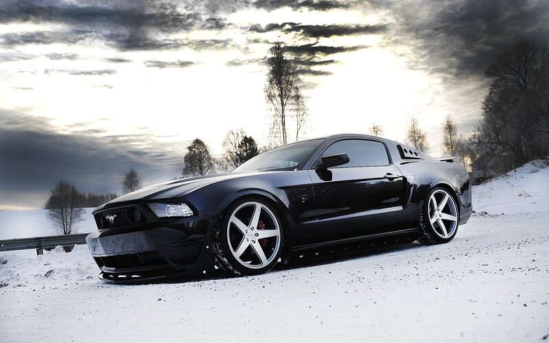 Black Mustang on Snow — Dramatic, Winter