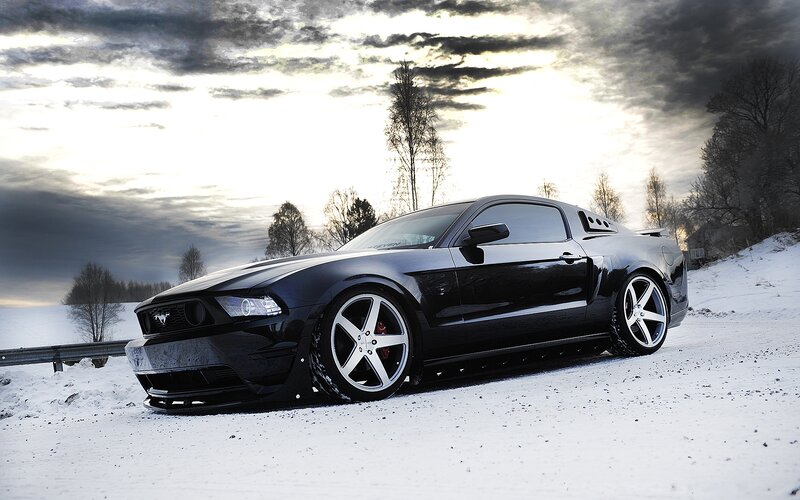 Black Mustang on Snow