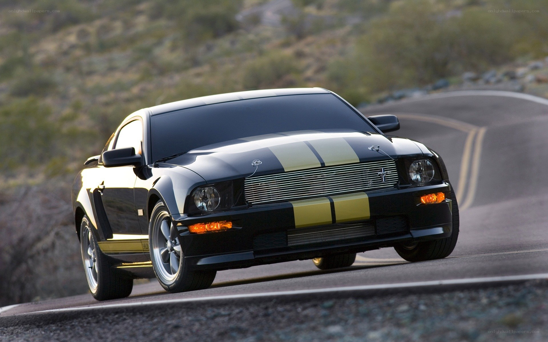 black mustang on winding road