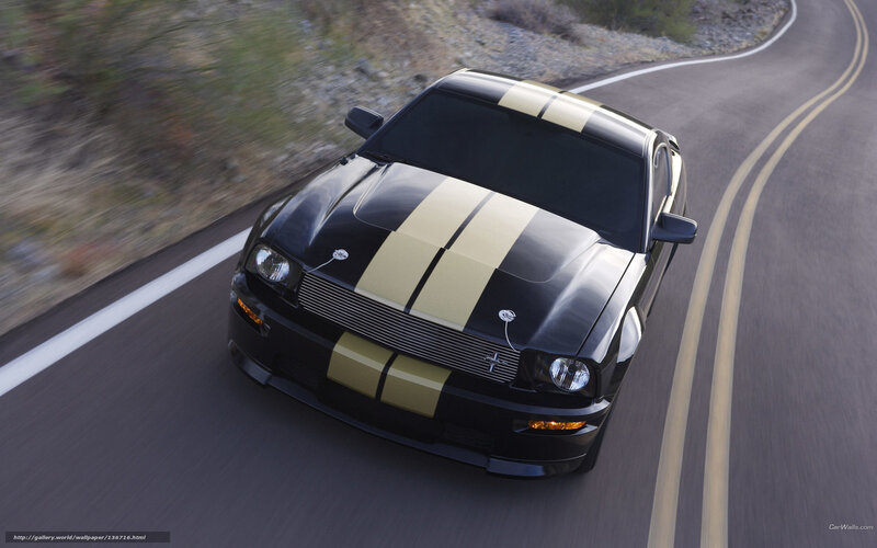 black mustang on winding road