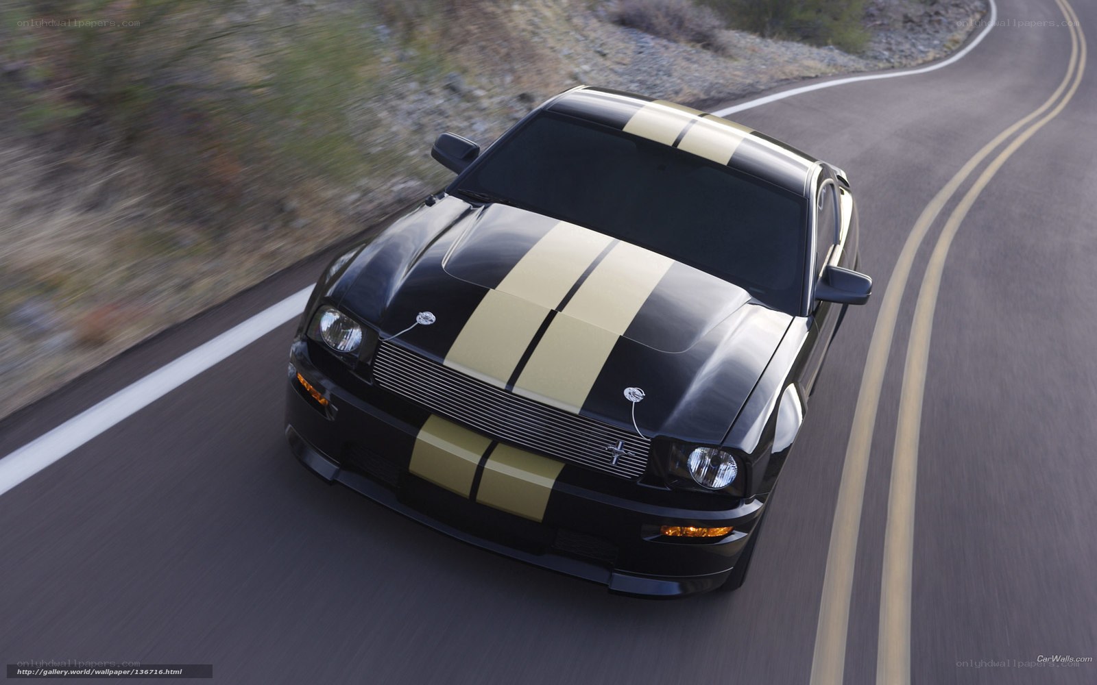 black mustang on winding road