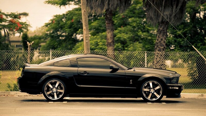 Black Mustang Shelby — Calm