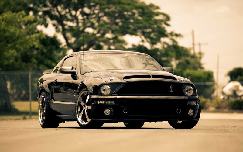 Black Mustang Shelby — Dramatic, Afternoon, Photograph