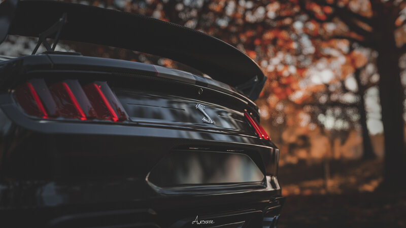 Black Mustang Shelby — Dramatic, Autumn