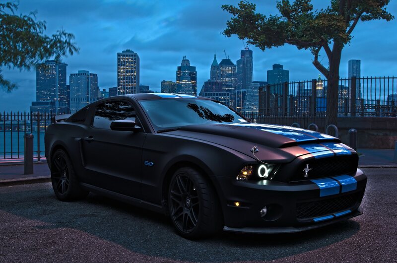 Black Mustang Shelby — Dramatic, Night