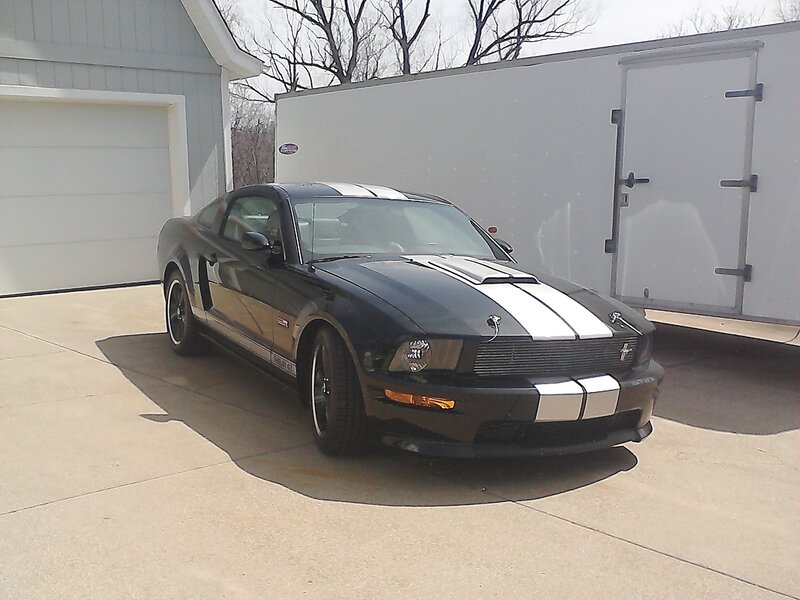 Black Mustang Shelby Gt