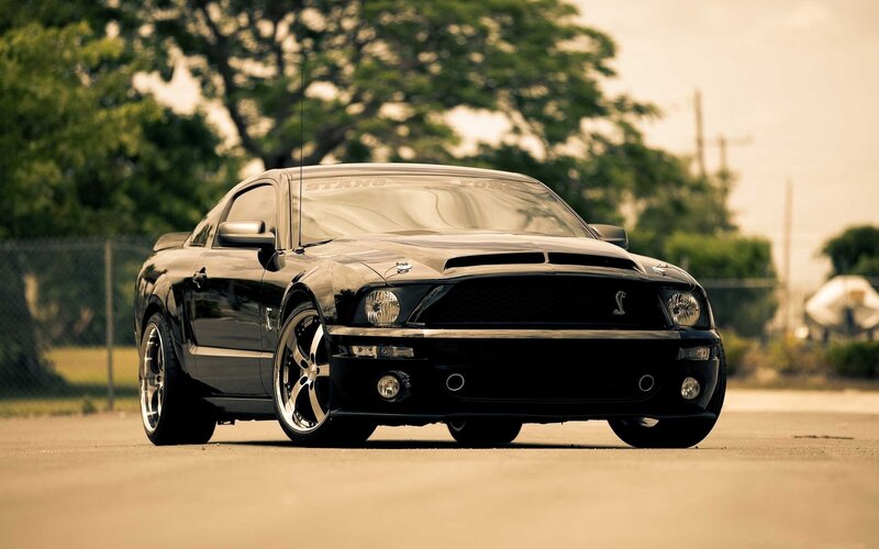 Black Mustang Shelby