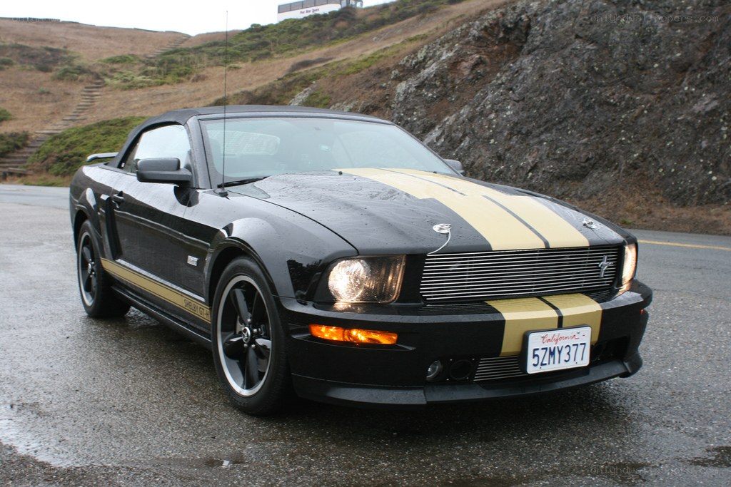 black mustang with gold stripes