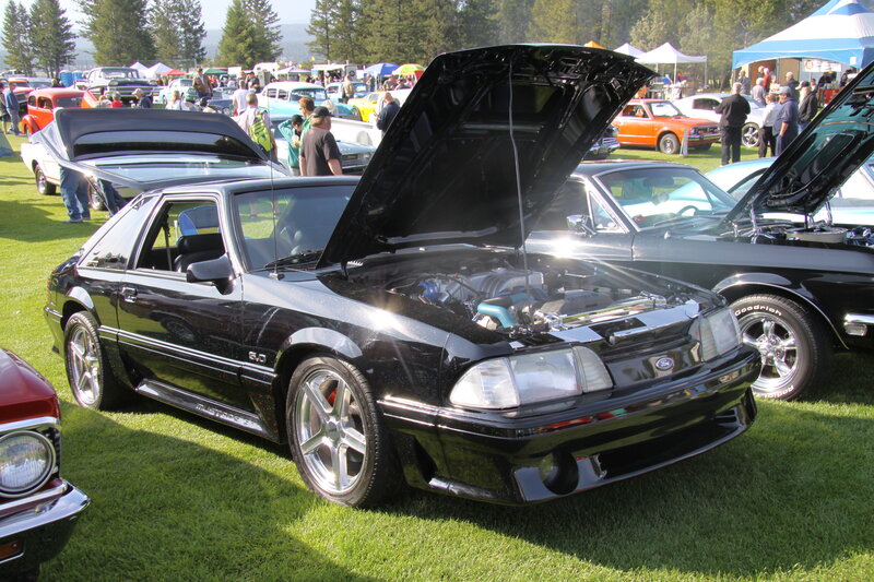 Black Mustang with Open Hood