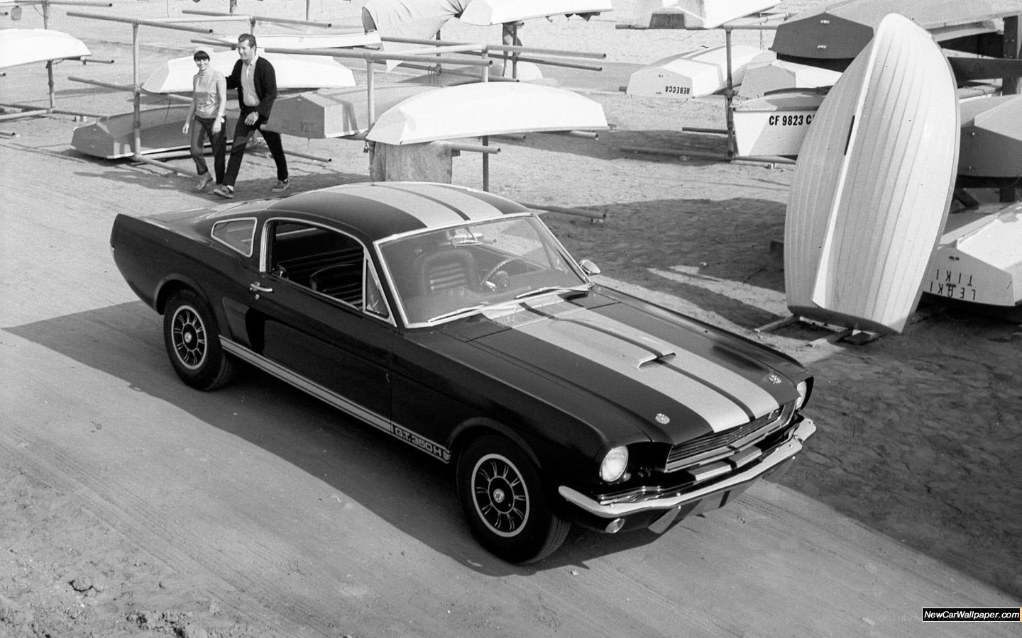 Black Mustang with racing stripes