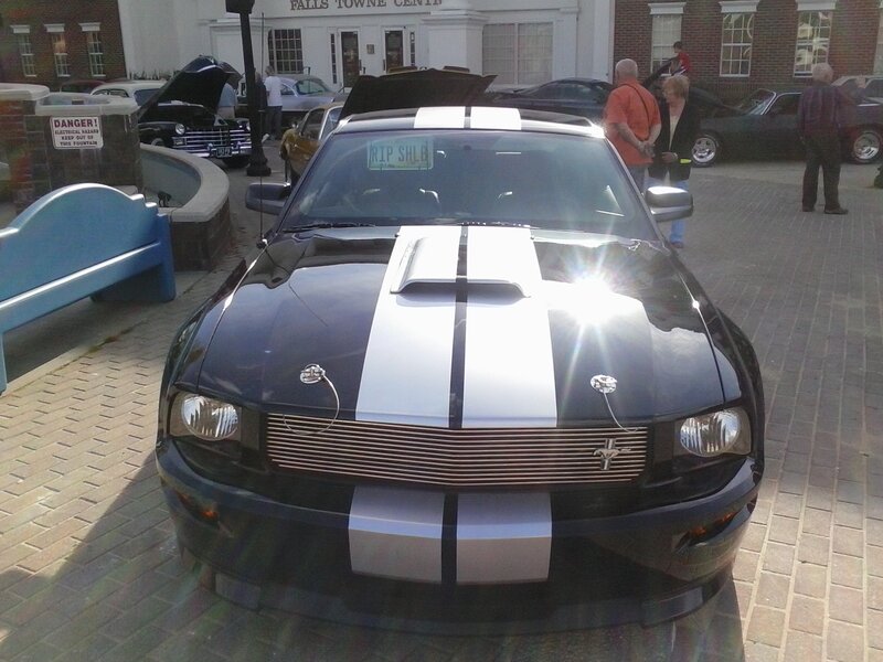 Black Mustang with Stripes — Casual