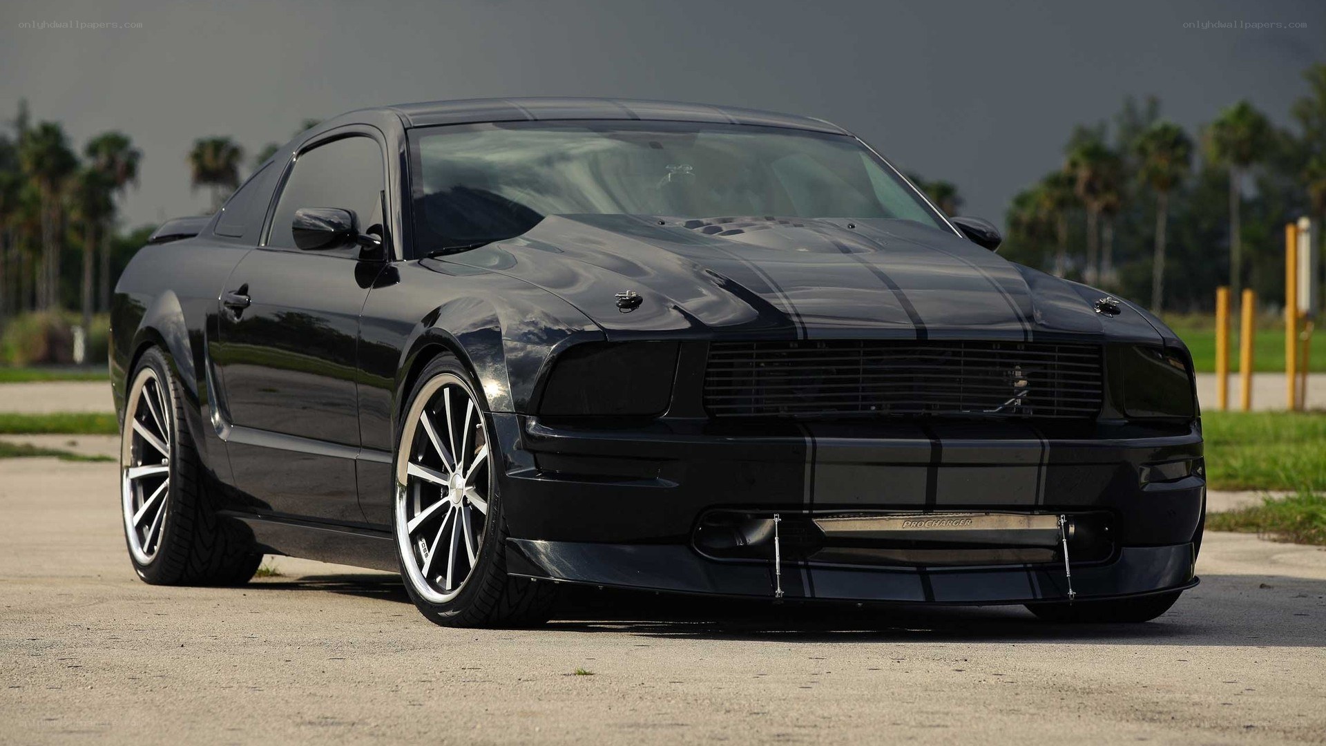 black mustang with stripes