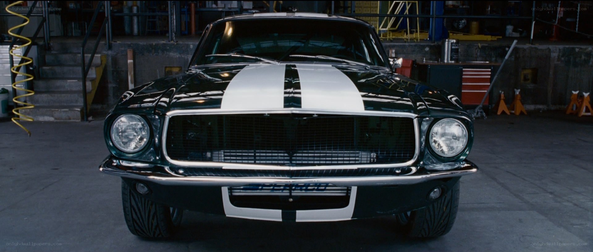 black mustang with white stripes