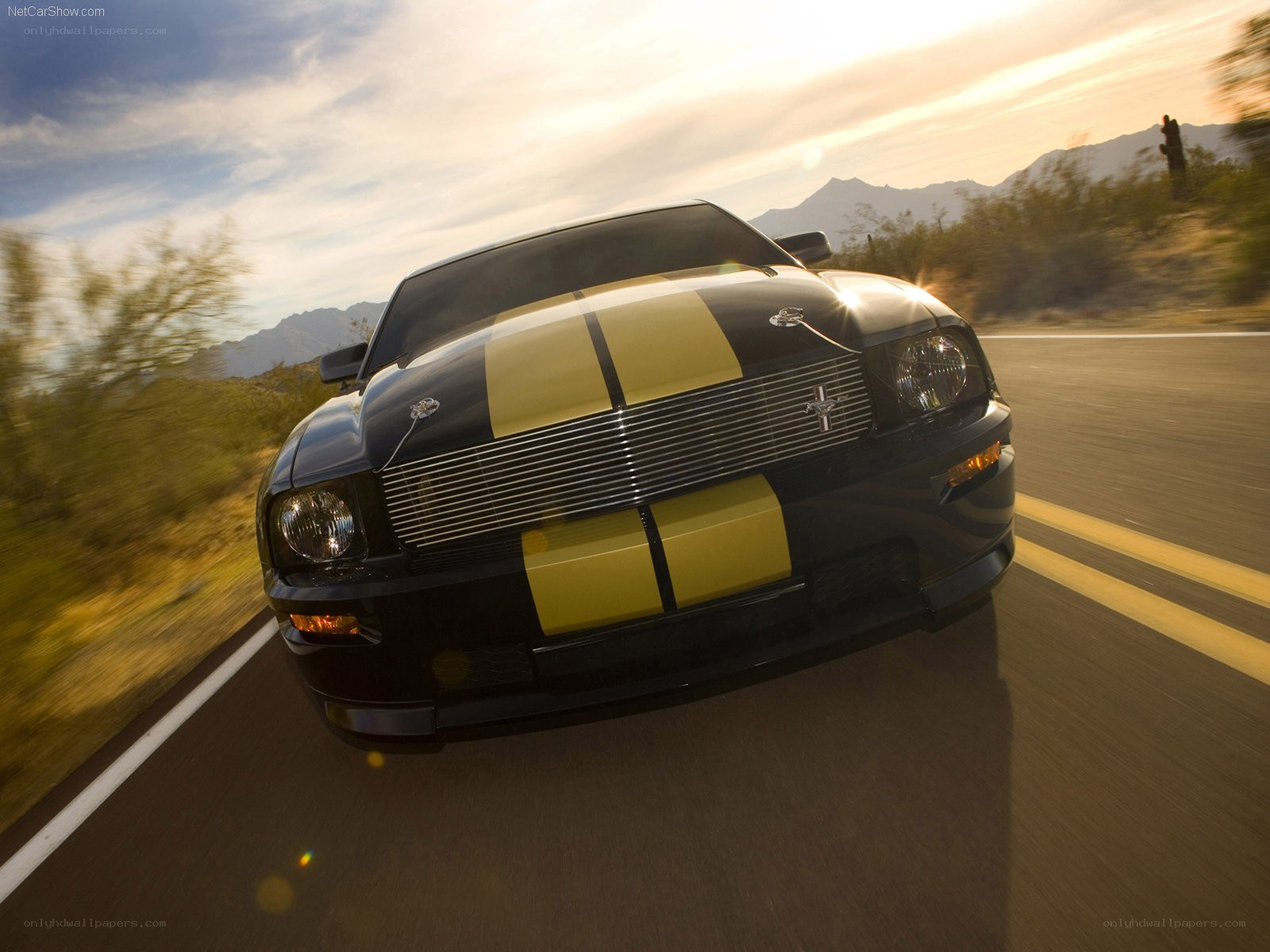black mustang with yellow stripes