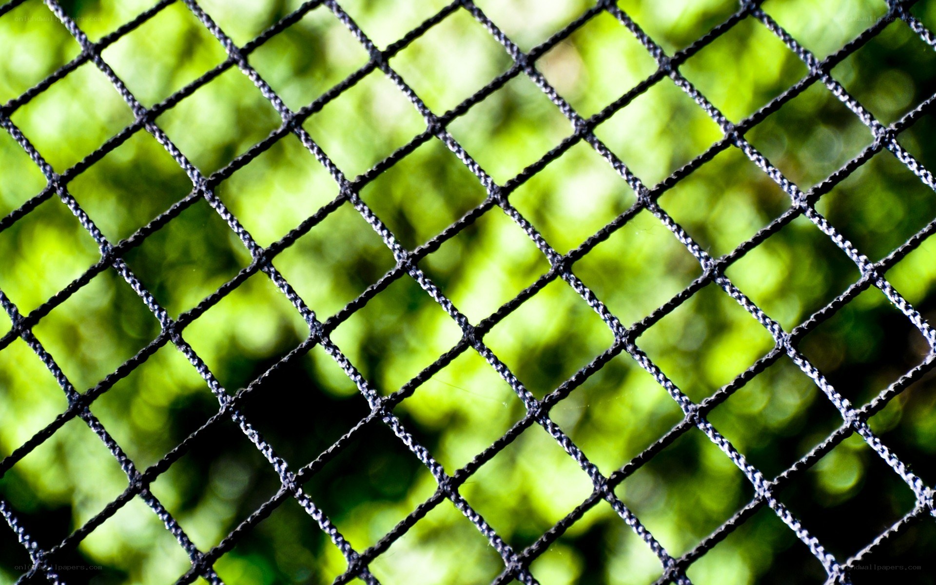 black net with green background