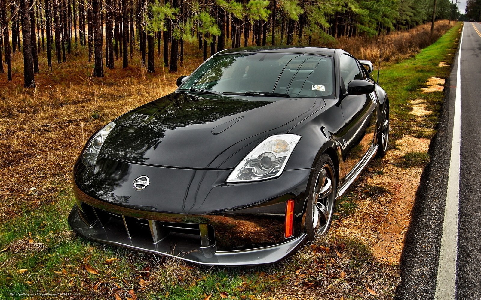 Black Nissan 350Z on roadside