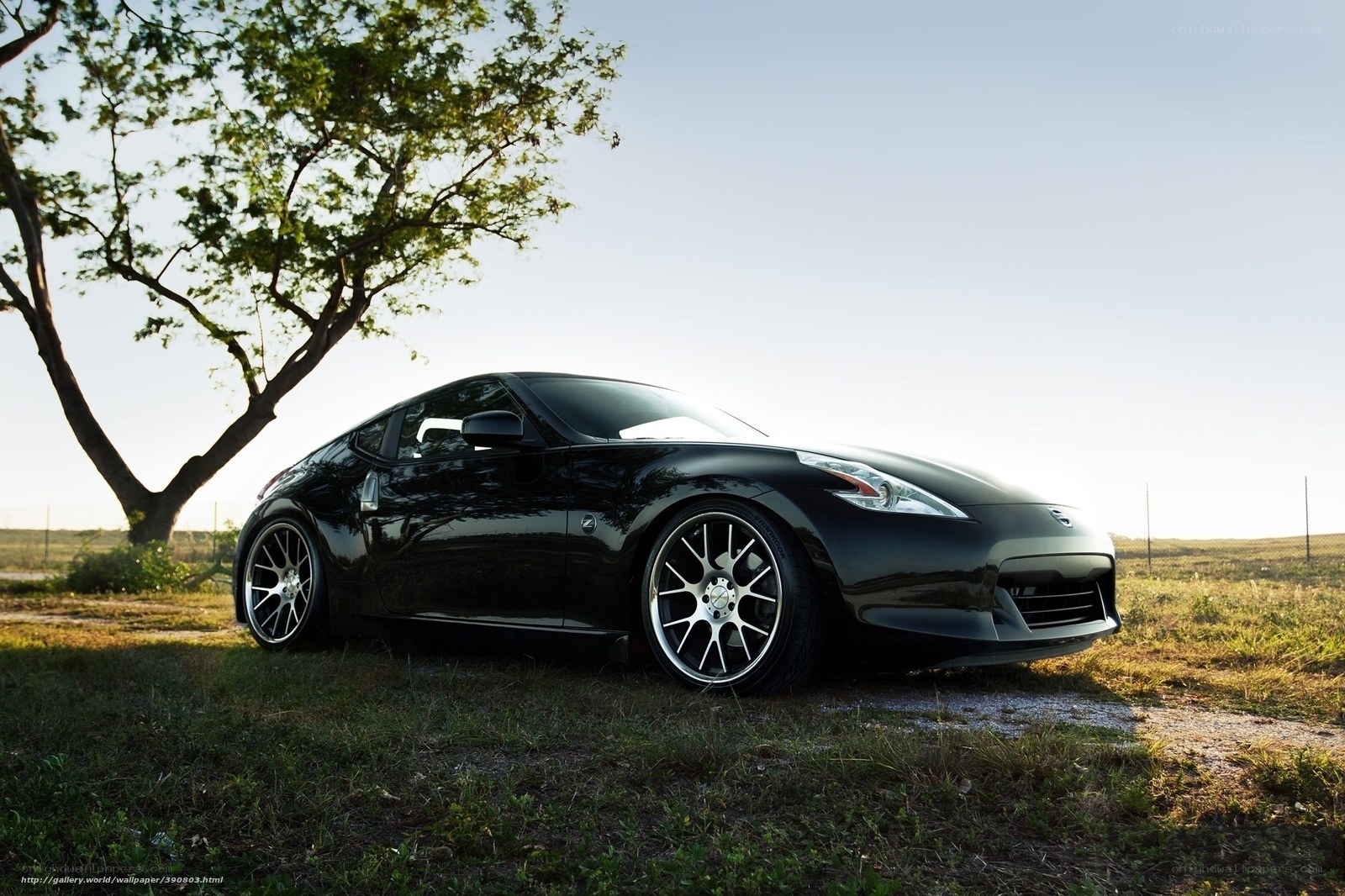 Black Nissan 370Z in a field