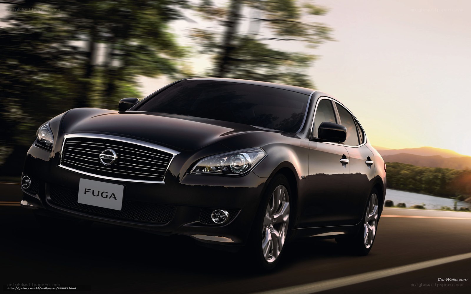 Black Nissan Fuga in motion