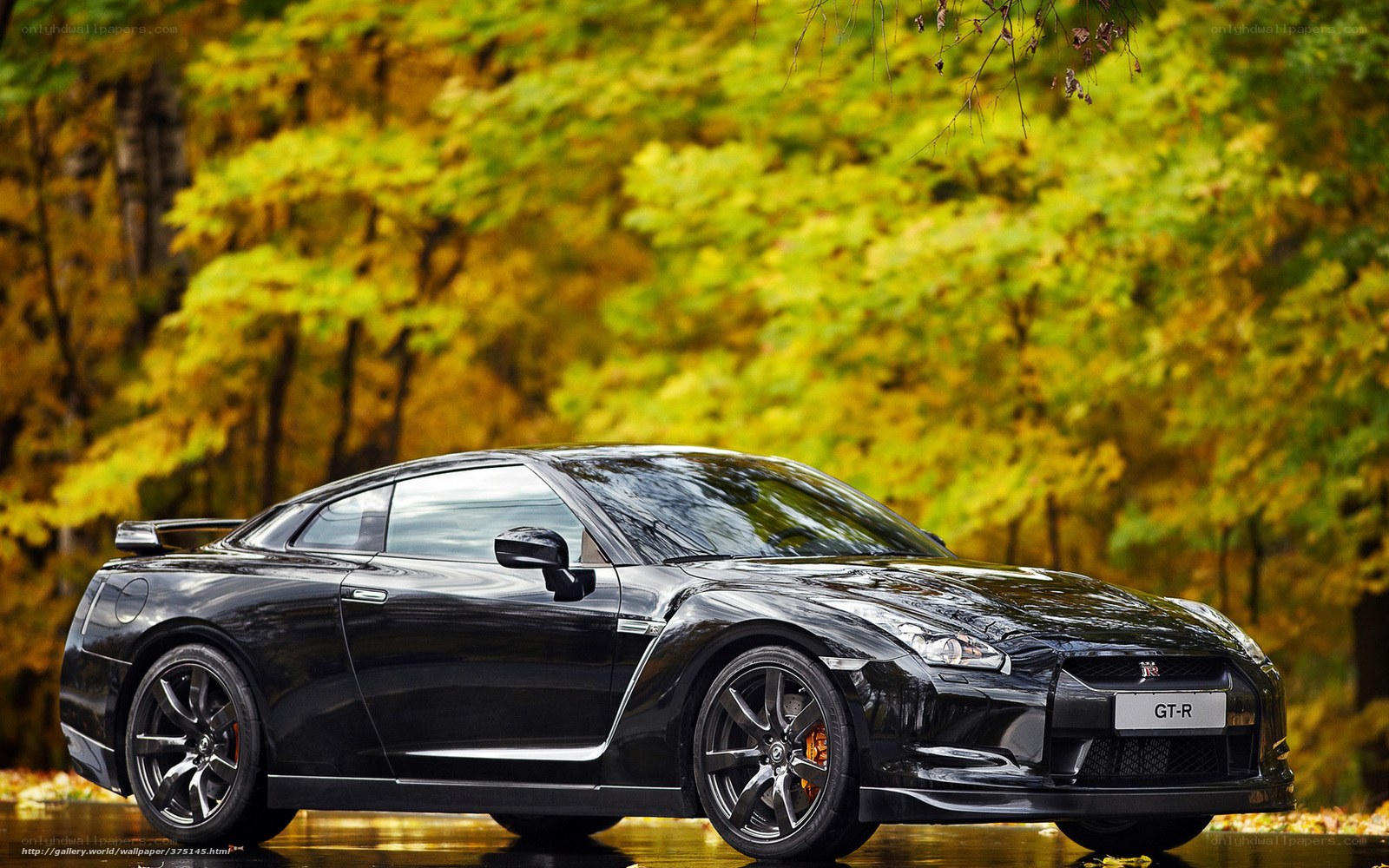 Black Nissan GT-R in autumn