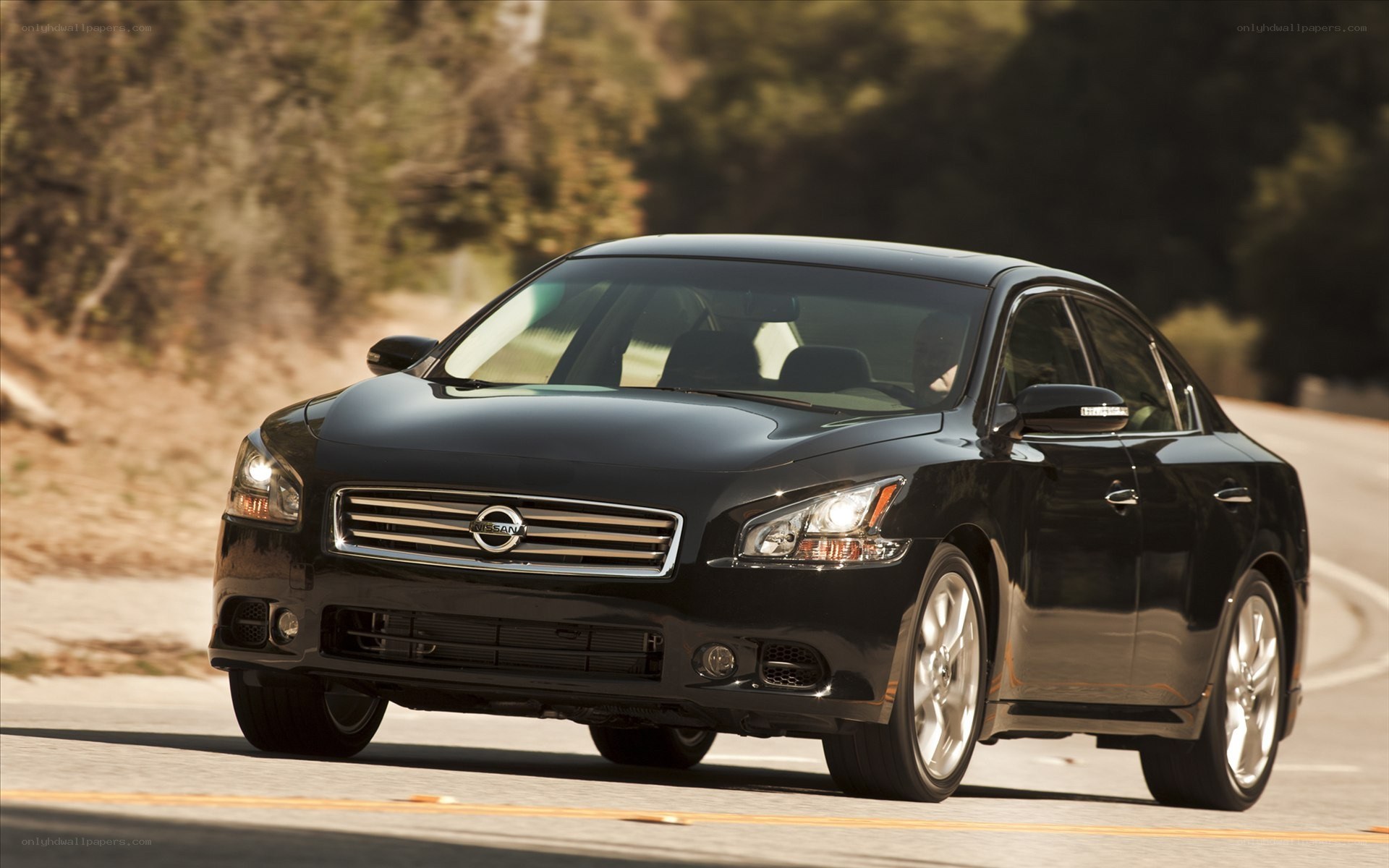 Black Nissan Maxima on a road