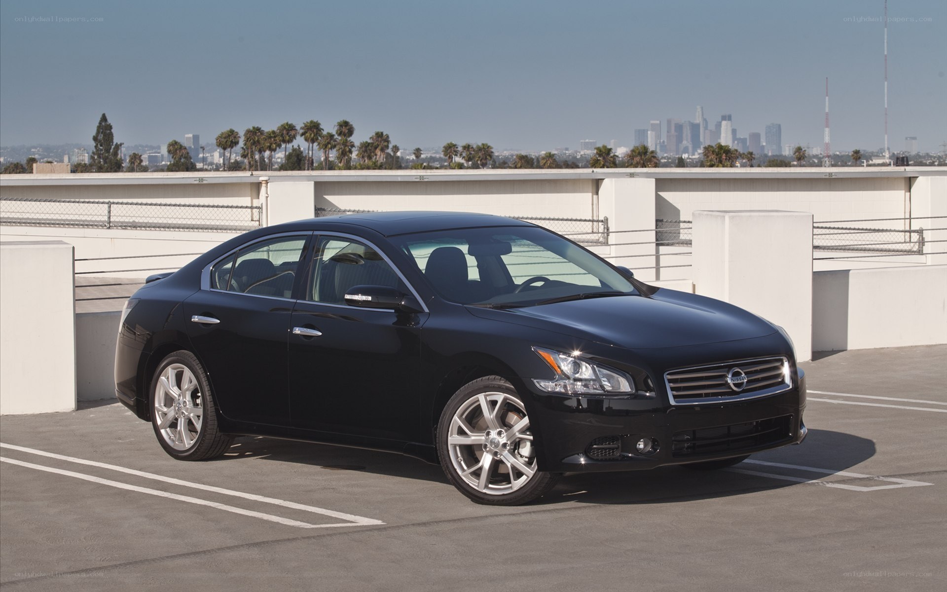 Black Nissan Maxima on rooftop