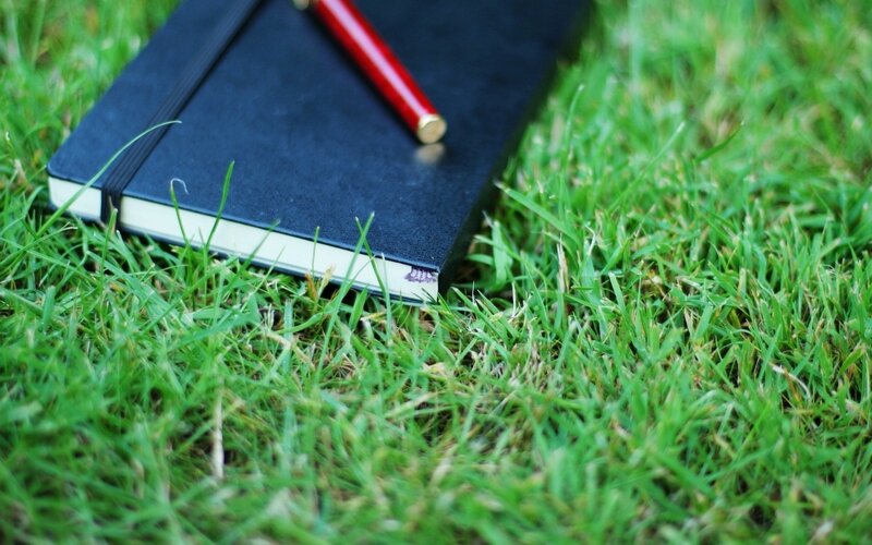 Black Notebook on Grass — Green, Calm, Afternoon