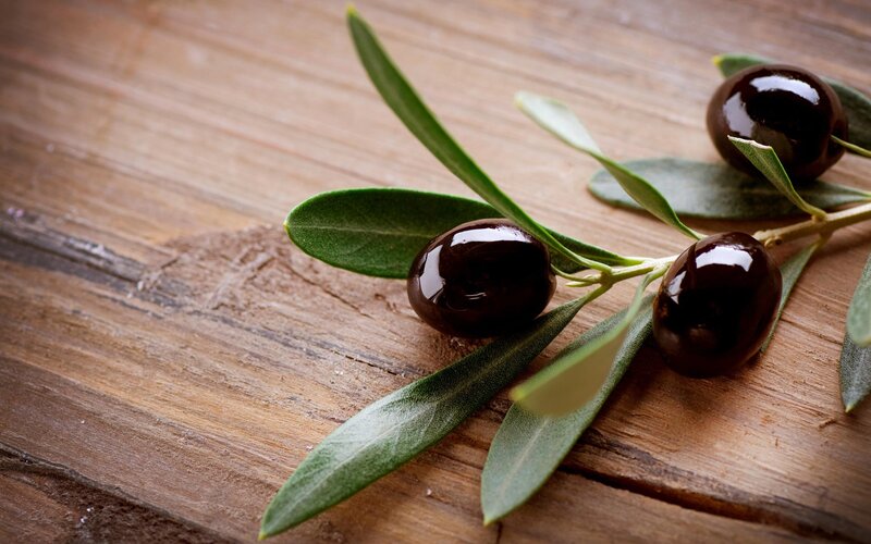 Black Olives on Branch — Brown