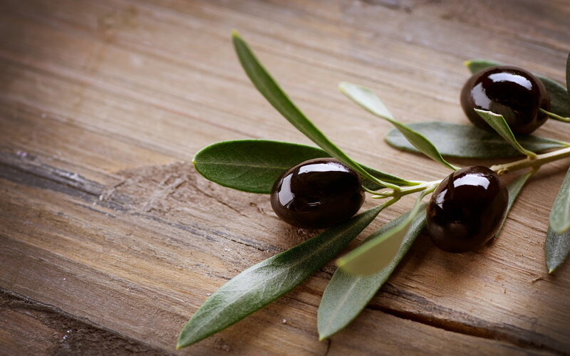 Black Olives on Branch — Green