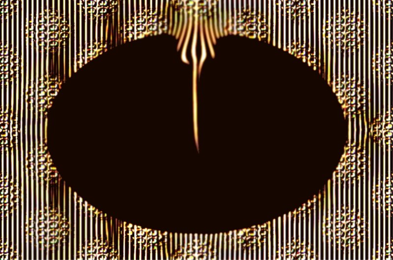 Black Oval Shape