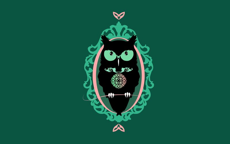 Black Owl in Frame