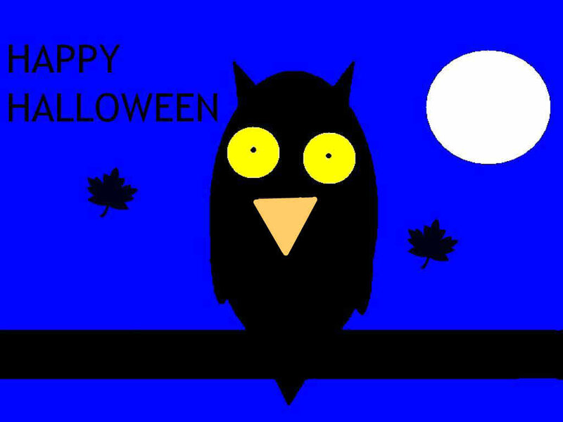 Black Owl on Branch