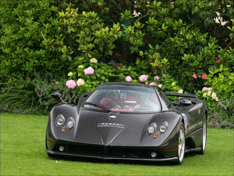 Black Pagani sports car on grass