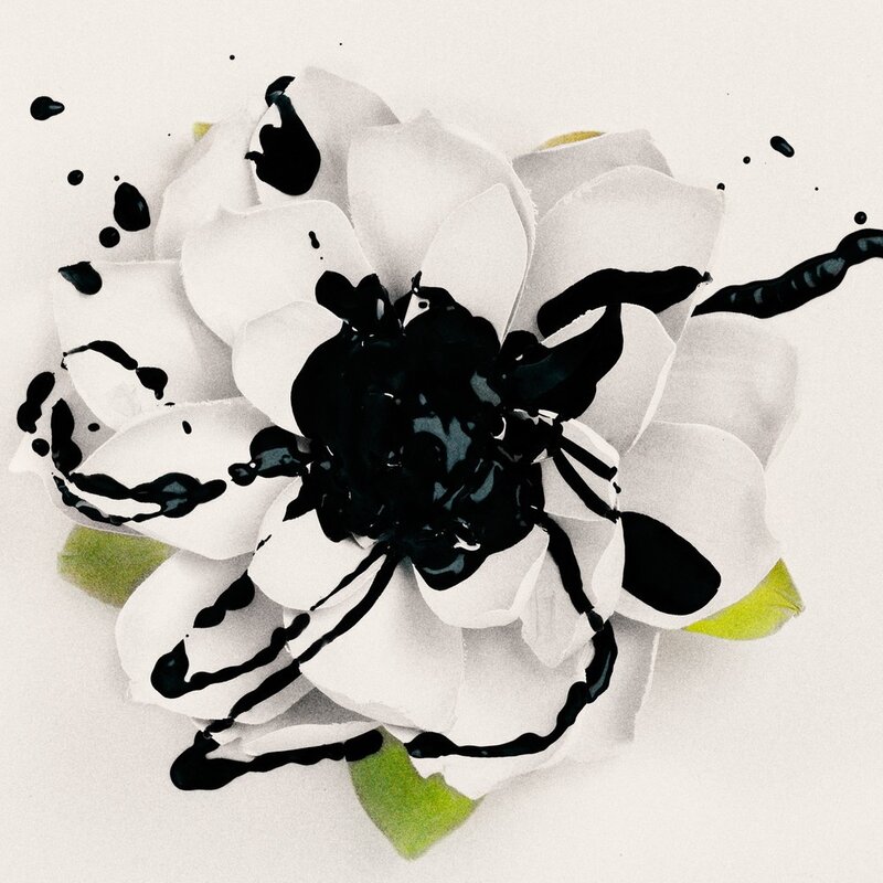 black paint splattered on white flower