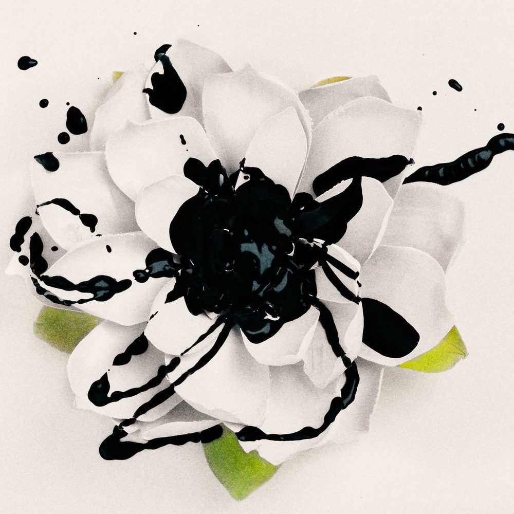 black paint splattered on white flower