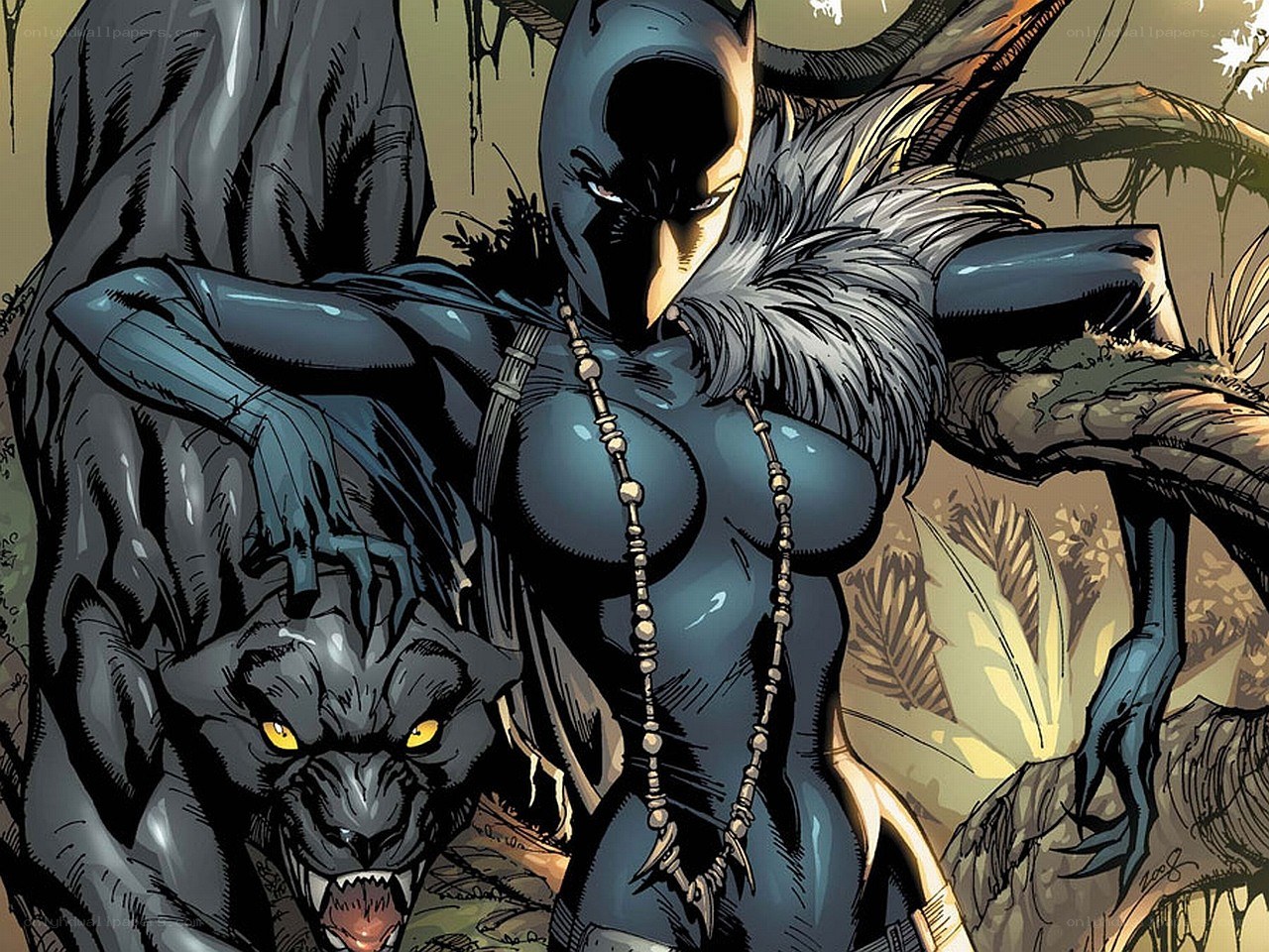 Black Panther and Black Cat