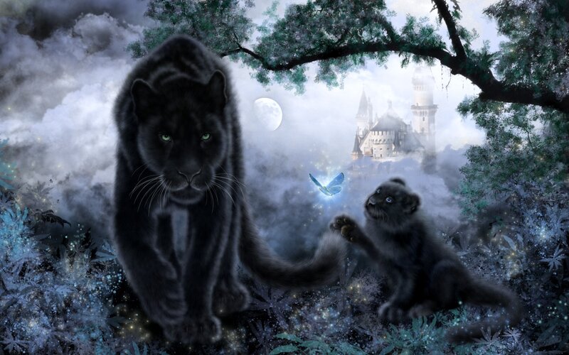 Black Panther and Cub — Mystical