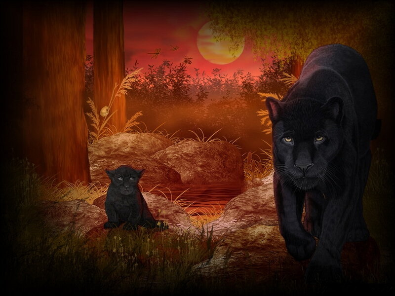 Black Panther and Cub — Red